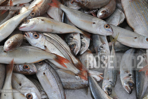 Arles (France - Provence - Provenza) 8/09 - fish market ©Graziano Arici/Rosebud2 geo pesce gastronomia