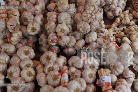 Arles (France - Provence - Provenza) 8/09 - market  garlic ©Graziano Arici/Rosebud2 geo aglio gastronomia