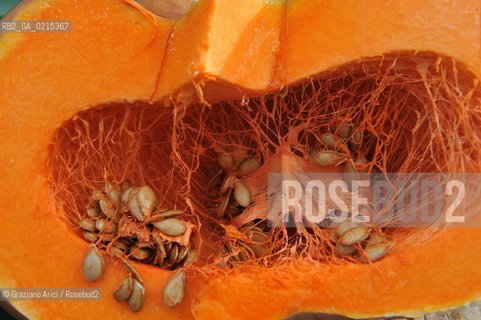 Arles (France - Provence - Provenza) 8/09 - market  marrow ©Graziano Arici/Rosebud2 geo zucca giallo gastronomia