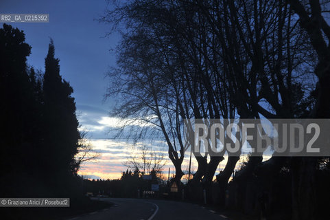 (France - Provence - Provenza) 8/09 - avenue with trees  ©Graziano Arici/Rosebud2 geo albero