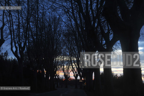 (France - Provence - Provenza) 8/09 - avenue with trees  ©Graziano Arici/Rosebud2 geo albero