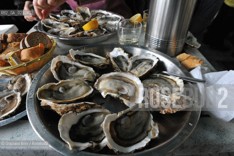 Sete (France - Languedoc - Linguadoca) 8/09 - oyster ©Graziano Arici/Rosebud2 geo ostrica ricci