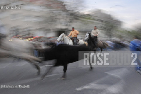 Arles (France - Provence - Provenza) 8/09 -Feria de Paques ©Graziano Arici/Rosebud2 geo toro cavallo