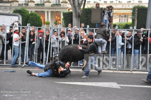 Arles (France - Provence - Provenza) 8/09 -Feria de Paques  horses and bulls ©Graziano Arici/Rosebud2 geo cavallo toro