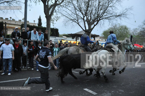 Arles (France - Provence - Provenza) 8/09 -Feria de Paques  horses and bulls ©Graziano Arici/Rosebud2 geo cavallo toro