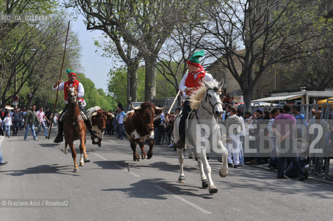 Arles (France - Provence - Provenza) 8/09 -Feria de Paques  horses and bulls ©Graziano Arici/Rosebud2 geo cavallo toro.