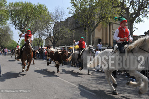 Arles (France - Provence - Provenza) 8/09 -Feria de Paques  horses and bulls ©Graziano Arici/Rosebud2 geo cavallo toro.