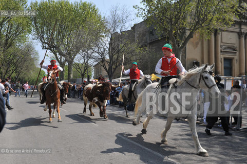 Arles (France - Provence - Provenza) 8/09 -Feria de Paques  horses and bulls ©Graziano Arici/Rosebud2 geo cavallo toro.
