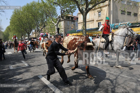 Arles (France - Provence - Provenza) 8/09 -Feria de Paques  horses and bulls ©Graziano Arici/Rosebud2 geo cavallo toro.