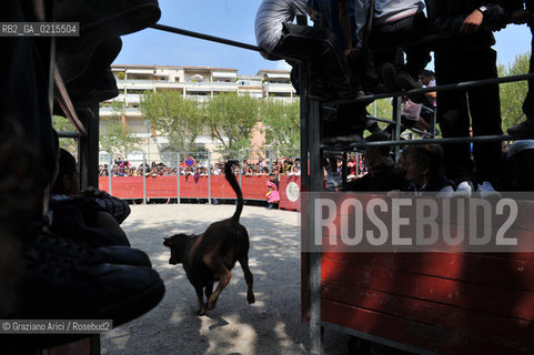 Arles (France - Provence - Provenza) 8/09 -Feria de Paques  corrida bull race ©Graziano Arici/Rosebud2 geo toro