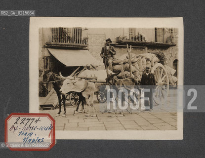-NAPOLI, BUE - CAVALLO - CARRETTO MULO, SENZA DATA. STAMPA ALLALBUMINA INCOLLATA SU CARTONCINO, CM 11,3X9 ©ARCHIVIO Graziano Arici/Rosebud2   FOTOANTICHE.-NAPLES, OX - HORSE - MULE TEAM, UNDATED. ALBUMEN PHOTOGRAPH MOUNTED ON CARDBOARD, CM 11,3X9 ©Graziano Arici / rosebud2