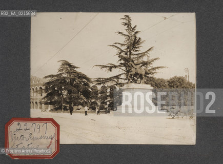 -VERONA, STATUA DI VITTORIO EMANUELE, SENZA DATA. STAMPA ALLALBUMINA INCOLLATA SU CARTONCINO, CM 11,3X9 ©ARCHIVIO Graziano Arici/Rosebud2   FOTOANTICHE.-VERONA, VICTOR EMANUEL STATUE, UNDATED. ALBUMEN PHOTOGRAPH MOUNTED ON CARDBOARD, CM 11,3X9 ©Graziano Arici/Rosebud2 