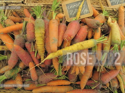 Arles (France , Provence) 10/8/ 2010 : The Fruit market : carrots Arles geo gastronomia ©Graziano Arici/Rosebud2