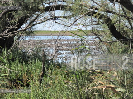 Arles (France , Provence) 10/8/ 2010 : Camargue Park Arles geo feria ©Graziano Arici/Rosebud2
