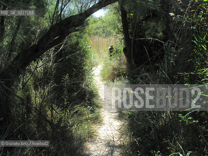 Arles (France , Provence) 10/8/ 2010 : Camargue Park Arles geo feria ©Graziano Arici/Rosebud2