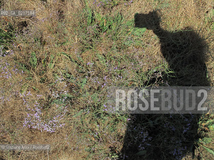 Arles (France , Provence) 10/8/ 2010 : Camargue Park Arles geo feria ©Graziano Arici/Rosebud2