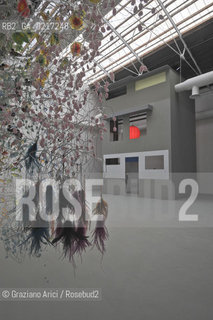 Venice 26/08/2010 -  12 Architecture Biennale: Palazzo delle Esposizioni - Caruso St:John+Thomas Demand: Nagelhaus, Zurigo 2010 and Andreas Jaque Arquitectos: Fray Foam Home -  Architettura architetti giardini ©Graziano Arici/Rosebud2