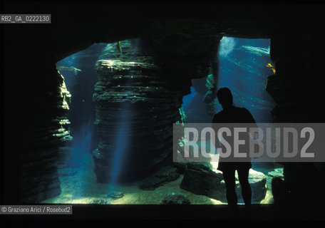 Lisbona(Portogallo),2002.LAcquario.Geo Lisbona Portogallo Acquario.Lisbon (Portugal) 2002.The aquarium ©Graziano Arici/Rosebud2