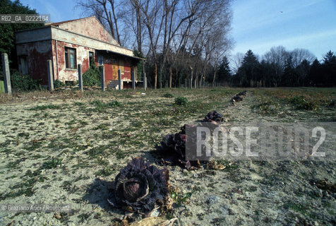 - Isola di Sacca Sessola,Venezia.Lisola abbandonata di Sacca Sessola,dal 1911 fino al 1979 fu usata come ospedale. I campi abbandonati.Geo isola campi.- Island of Sacca Sessola, Venice.The Island from 1911 to 1979 it was used as a hospital. ©Graziano Arici/Rosebud2