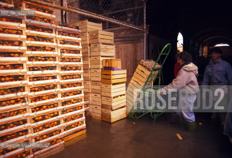 - Venezia,1992.Acqua alta a Venezia.Mercato di Rialto.Geo Acqua alta marea.- Venice,1992.Hightide in Venice.Rialtòs Market  ©Graziano Arici/Rosebud2