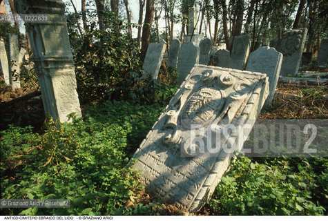 Caption: Nome:..CIMITERO EBRAICO DEL LIDO DI VENEZIA: LAPIDI  ....Localizzazione:..GHETTO / LIDO DI VENEZIA / CIMITERO EBRAICO  ..LIDO OF VENICE / JEWISH CEMETERY   ..Soggetto:.. TOMBE / LAPIDI  ..GRAVES / TOMBSTONES  ..Cronologia:......Autore:......Stile:......Editori Stampatori:......Committenza:......Materia e Tecnica:..MARMO  ..MARBLE   ..Collocazione:......Note:......Riproduzione Fotografica:..Graziano Arici/Rosebud2  ....Copyright:..Graziano Arici/Rosebud2/  ....Data:..1994....Costo:..A....Key: