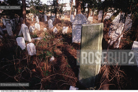 Nome:..CIMITERO EBRAICO DEL LIDO DI VENEZIA: LAPIDI  ....Localizzazione:..GHETTO / LIDO DI VENEZIA / CIMITERO EBRAICO  ..LIDO OF VENICE / JEWISH CEMETERY   ..Soggetto:.. TOMBE / LAPIDI  ..GRAVES / TOMBSTONES  ..Cronologia:......Autore:......Stile:......Editori Stampatori:......Committenza:......Materia e Tecnica:..MARMO  ..MARBLE   ..Collocazione:......Note:......Riproduzione Fotografica:..Graziano Arici/Rosebud2  ....Copyright:..Graziano Arici/Rosebud2/  ....Data:..1994....Costo:..A....Key:....