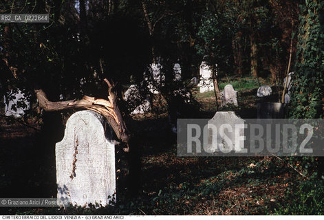Nome:..CIMITERO EBRAICO DEL LIDO DI VENEZIA: LAPIDI  ....Localizzazione:..GHETTO / LIDO DI VENEZIA / CIMITERO EBRAICO  ..LIDO OF VENICE / JEWISH CEMETERY   ..Soggetto:..TOMBE / LAPIDI  ..GRAVES / TOMBSTONES  ..Cronologia:......Autore:......Stile:......Editori Stampatori:......Committenza:......Materia e Tecnica:..MARMO  ..MARBLE   ..Collocazione:......Note:......Riproduzione Fotografica:..Graziano Arici/Rosebud2  ....Copyright:..Graziano Arici/Rosebud2/  ....Data:..1994....Costo:..A....Key:.. ..