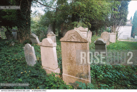 Caption: Nome:..CIMITERO EBRAICO DEL LIDO DI VENEZIA: LAPIDI  ....Localizzazione:..GHETTO / LIDO DI VENEZIA / CIMITERO EBRAICO  ..LIDO OF VENICE / JEWISH CEMETERY   ..Soggetto:..TOMBE / LAPIDI  DOPO IL RESTAURO (1999)..GRAVES / TOMBSTONES  ..Cronologia:......Autore:......Stile:......Editori Stampatori:......Committenza:......Materia e Tecnica:..MARMO  ..MARBLE   ..Collocazione:......Note:......Riproduzione Fotografica:..Graziano Arici/Rosebud2  ....Copyright:..Graziano Arici/Rosebud2/  ....Data:..2000....Costo:..A....Key: