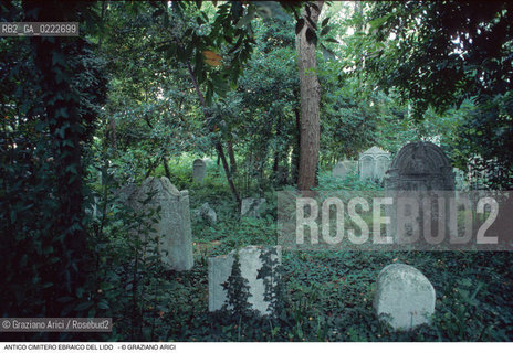 Caption: Nome:..CIMITERO EBRAICO DEL LIDO DI VENEZIA: LAPIDI  ....Localizzazione:..GHETTO / LIDO DI VENEZIA / CIMITERO EBRAICO  ..LIDO OF VENICE / JEWISH CEMETERY   ..Soggetto:.. TOMBE / LAPIDI  ..GRAVES / TOMBSTONES  ..Cronologia:......Autore:......Stile:......Editori Stampatori:......Committenza:......Materia e Tecnica:..MARMO  ..MARBLE   ..Collocazione:......Note:......Riproduzione Fotografica:..Graziano Arici/Rosebud2  ....Copyright:..Graziano Arici/Rosebud2/  ....Data:..1994....Costo:..A....Key: