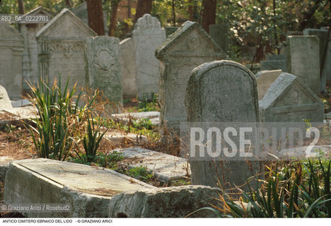 Caption: Nome:..CIMITERO EBRAICO DEL LIDO DI VENEZIA: LAPIDI  ....Localizzazione:..GHETTO / LIDO DI VENEZIA / CIMITERO EBRAICO  ..LIDO OF VENICE / JEWISH CEMETERY   ..Soggetto:.. TOMBE / LAPIDI  ..GRAVES / TOMBSTONES  ..Cronologia:......Autore:......Stile:......Editori Stampatori:......Committenza:......Materia e Tecnica:..MARMO  ..MARBLE   ..Collocazione:......Note:......Riproduzione Fotografica:..Graziano Arici/Rosebud2  ....Copyright:..Graziano Arici/Rosebud2/  ....Data:..1994....Costo:..A....Key: