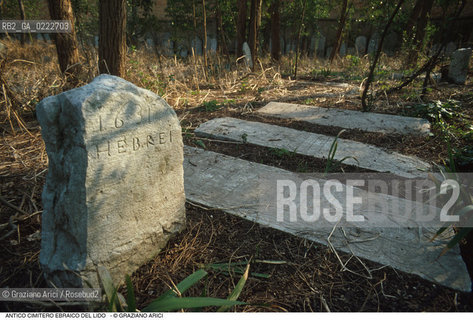Caption: Nome:..CIMITERO EBRAICO DEL LIDO DI VENEZIA:  LAPIDE CHE RICORDA LA SEPOLTURA COMUNE DEI MORTI DURANTE LEPIDEMIA DI PESTE DEL 1630-31  ....Localizzazione:..GHETTO / LIDO DI VENEZIA / CIMITERO EBRAICO  ..LIDO OF VENICE / JEWISH CEMETERY   ..Soggetto:..LAPIDE CHE RICORDA LA SEPOLTURA COMUNE DEI MORTI DURANTE LEPIDEMIA DI PESTE DEL 1630-31  ..TOMBSTONE WHICH MARKS THE COMMON GRAVE OF ALL THOSE WHO DIED DURING THE PLAGUE OF 1630-31  ..Cronologia:..SEC. XVII / SECONDO QUARTO / 1631..XVIIth CENTURY..Autore:......Stile:......Editori Stampatori:......Committenza:......Materia e Tecnica:..MARMO  ..MARBLE   ..Collocazione:......Note:......Riproduzione Fotografica:..Graziano Arici/Rosebud2  ....Copyright:..Graziano Arici/Rosebud2/  ....Data:..1994....Costo:..A....Key:..