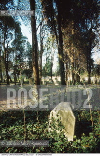 Caption: Nome:..CIMITERO EBRAICO DEL LIDO DI VENEZIA: LAPIDI  ....Localizzazione:..GHETTO / LIDO DI VENEZIA / CIMITERO EBRAICO  ..LIDO OF VENICE / JEWISH CEMETERY   ..Soggetto:..TOMBE / LAPIDI  DOPO IL RESTAURO (1999)..GRAVES / TOMBSTONES  ..Cronologia:......Autore:......Stile:......Editori Stampatori:......Committenza:......Materia e Tecnica:..MARMO  ..MARBLE   ..Collocazione:......Note:......Riproduzione Fotografica:..Graziano Arici/Rosebud2  ....Copyright:..Graziano Arici/Rosebud2/  ....Data:..2000....Costo:..A....Key: