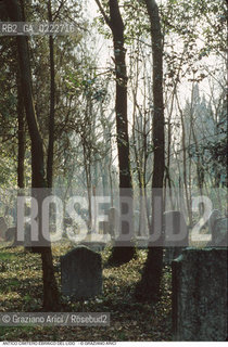 Caption: Nome:..CIMITERO EBRAICO DEL LIDO DI VENEZIA: LAPIDI  ....Localizzazione:..GHETTO / LIDO DI VENEZIA / CIMITERO EBRAICO  ..LIDO OF VENICE / JEWISH CEMETERY   ..Soggetto:.. TOMBE / LAPIDI  ..GRAVES / TOMBSTONES  ..Cronologia:......Autore:......Stile:......Editori Stampatori:......Committenza:......Materia e Tecnica:..MARMO  ..MARBLE   ..Collocazione:......Note:......Riproduzione Fotografica:..Graziano Arici/Rosebud2  ....Copyright:..Graziano Arici/Rosebud2/  ....Data:..1994....Costo:..A....Key: