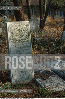 Caption: Nome:..CIMITERO EBRAICO DEL LIDO DI VENEZIA: LAPIDI  ....Localizzazione:..GHETTO / LIDO DI VENEZIA / CIMITERO EBRAICO  ..LIDO OF VENICE / JEWISH CEMETERY   ..Soggetto:.. TOMBE / LAPIDI  ..GRAVES / TOMBSTONES  ..Cronologia:......Autore:......Stile:......Editori Stampatori:......Committenza:......Materia e Tecnica:..MARMO  ..MARBLE   ..Collocazione:......Note:......Riproduzione Fotografica:..Graziano Arici/Rosebud2  ....Copyright:..Graziano Arici/Rosebud2/  ....Data:..1994....Costo:..A....Key: