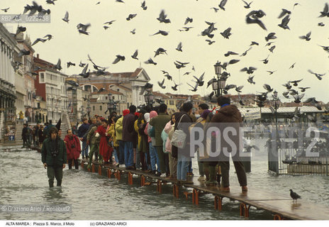Nome:..ALTA MAREA..HIGHT TIDE..Localizzazione:..VENEZIA / S. MARCO / PIAZZA S. MARCO, MOLO..VENICE / ST. MARK  / ST. MARK S SQUARE, MOLO..Soggetto:..ACQUA ALTA IN PIAZZA S. MARCO ..MOLO IN ST. MARK S SQUARE UNDER WATER ..Cronologia:......Autore:......Stile:......Editori Stampatori:......Committenza:......Materia e Tecnica:......Collocazione:......Note:..COLOMBO..PIGEON..Riproduzione Fotografica:..Graziano Arici/Rosebud2 ...Copyright:..Graziano Arici / rosebud2/....Data:..1993....Costo:..A....Key:..ACQUA ALTA..HIGHT TIDE..
