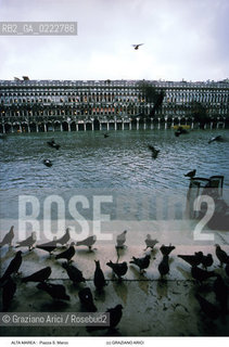 Nome:..ALTA MAREA..HIGHT TIDE..Localizzazione:..VENEZIA / S. MARCO / PIAZZA S. MARCO..VENICE / ST. MARK  / ST. MARK S SQUARE..Soggetto:..PROCURATIE VECCHIE IN PIAZZA S. MARCO CON LACQUA ALTA / COLOMBI..PROCURATIE VECCHIE IN ST. MARK S SQUARE DURING THE HIGHT TIDE / PIGEONS..Cronologia:......Autore:......Stile:......Editori Stampatori:......Committenza:......Materia e Tecnica:......Collocazione:......Note:....Riproduzione Fotografica:..Graziano Arici/Rosebud2 ...Copyright:..Graziano Arici / rosebud2/....Data:..1992....Costo:..A....Key:..ACQUA ALTA..HIGHT TIDE..