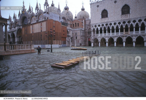 Nome:..ALTA MAREA..HIGHT TIDE..Localizzazione:..VENEZIA / S. MARCO / PIAZZA S. MARCO..VENICE / ST. MARK  / ST. MARK S SQUARE..Soggetto:..ACQUA ALTA IN PIAZZA  S. MARCO / PASSERELLA..ST. MARK S SQUARE DURING THE HIGHT TIDE / WALKWAY..Cronologia:......Autore:......Stile:......Editori Stampatori:......Committenza:......Materia e Tecnica:......Collocazione:......Note:....Riproduzione Fotografica:..Graziano Arici/Rosebud2 ...Copyright:..Graziano Arici / rosebud2/....Data:..1995....Costo:..A....Key:..ACQUA ALTA..HIGHT TIDE..