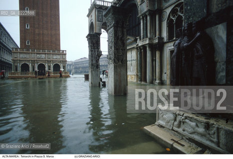 Nome:..ALTA MAREA..HIGHT TIDE..Localizzazione:..VENEZIA / S. MARCO / PIAZZA S. MARCO..VENICE / ST. MARK  / ST. MARK S SQUARE..Soggetto:..TERARCHI E  PIAZZA S. MARCO  CON L ACQUA ALTA..TETRARCHS AND ST. MARK S SQUARE DURING THE HIGHT TIDE..Cronologia:......Autore:......Stile:......Editori Stampatori:......Committenza:......Materia e Tecnica:......Collocazione:......Note:....Riproduzione Fotografica:..Graziano Arici/Rosebud2 ...Copyright:..Graziano Arici / rosebud2/....Data:..1989....Costo:..A....Key:..ACQUA ALTA..HIGHT TIDE..