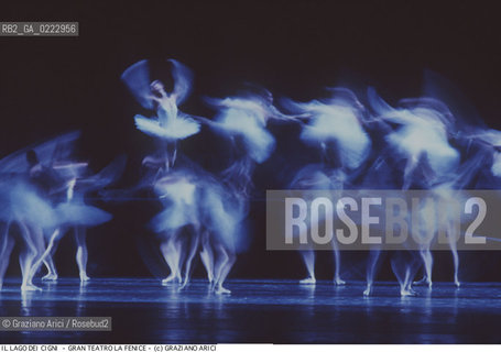 Nome: ..IL LAGO DEI CIGNI..Descrizione: ..BALLETTO KIROV / MUSICHE DI PETR ILIC CAJKOVSKIJ / GRAN TEATRO LA FENICE VENEZIA..Credit: ..Graziano Arici/Rosebud2/..Costo: ..A..Nazione: ..ITALIA..Città: ..VENEZIA..Data: ..1988..La cessione dei diritti di questa immagine si intende per quanto di nostra competenza. Non comprende invece le eventuali spese  relative a diritti che potranno essere richiesti dagli Enti o persone fisiche cui appartengono eventualmente i soggetti  ripresi. Tali costi, ove necessari, e l’espletamento di qualsivoglia pratica di richiesta di concessione del permesso di pubblicazione sono esclusivamente a carico e a cura del soggetto acquirente di questa immagine.