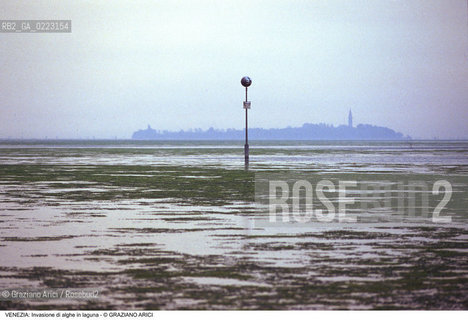 Localizzazione:..VENEZIA..Oggetto:..Soggetto:..INVASIONE DI ALGHE IN LAGUNA..Cronologia: ..Definizione Culturale:..   Autore: ..   Stile: ..   Editori/Stampatori:..   Committenza:..Materia e Tecnica:..Collocazione:..Note:..PROBLEMI INQUINAMENTO..Riproduzione Fotografica:..Graziano Arici/Rosebud2 .Copyright:..Graziano Arici/Rosebud2 .Data:..1990..Costo:..A..