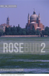 Localizzazione:..VENEZIA..Oggetto:..Soggetto:..INVASIONE DI ALGHE IN LAGUNA..Cronologia: ..Definizione Culturale:..   Autore: ..   Stile: ..   Editori/Stampatori:..   Committenza:..Materia e Tecnica:..Collocazione:..Note:..PROBLEMI INQUINAMENTO..Riproduzione Fotografica:..Graziano Arici/Rosebud2 .Copyright:..Graziano Arici/Rosebud2 .Data:..1990..Costo:..A..