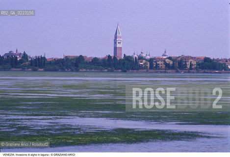 Localizzazione:..VENEZIA..Oggetto:..Soggetto:..INVASIONE DI ALGHE IN LAGUNA..Cronologia: ..Definizione Culturale:..   Autore: ..   Stile: ..   Editori/Stampatori:..   Committenza:..Materia e Tecnica:..Collocazione:..Note:..PROBLEMI INQUINAMENTO..Riproduzione Fotografica:..Graziano Arici/Rosebud2 .Copyright:..Graziano Arici/Rosebud2 .Data:..1990..Costo:..A..