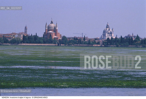 Localizzazione:..VENEZIA..Oggetto:..Soggetto:..INVASIONE DI ALGHE IN LAGUNA..Cronologia: ..Definizione Culturale:..   Autore: ..   Stile: ..   Editori/Stampatori:..   Committenza:..Materia e Tecnica:..Collocazione:..Note:..PROBLEMI INQUINAMENTO..Riproduzione Fotografica:..Graziano Arici/Rosebud2 .Copyright:..Graziano Arici/Rosebud2 .Data:..1990..Costo:..A..