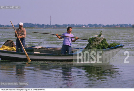 Localizzazione:..VENEZIA..Oggetto:..Soggetto:..RACCOLTA DI ALGHE IN LAGUNA / PESCATORI..Cronologia: ..Definizione Culturale:..   Autore: ..   Stile: ..   Editori/Stampatori:..   Committenza:..Materia e Tecnica:..Collocazione:..Note:..PROBLEMI INQUINAMENTO..Riproduzione Fotografica:..Graziano Arici/Rosebud2 .Copyright:..Graziano Arici/Rosebud2 .Data:..1990..Costo:..A..