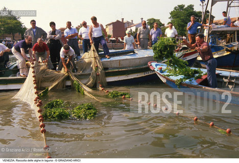 Localizzazione:..VENEZIA..Oggetto:..Soggetto:..RACCOLTA DI ALGHE IN LAGUNA / PESCATORI..Cronologia: ..Definizione Culturale:..   Autore: ..   Stile: ..   Editori/Stampatori:..   Committenza:..Materia e Tecnica:..Collocazione:..Note:..PROBLEMI INQUINAMENTO..Riproduzione Fotografica:..Graziano Arici/Rosebud2 .Copyright:..Graziano Arici/Rosebud2 .Data:..1990..Costo:..A..