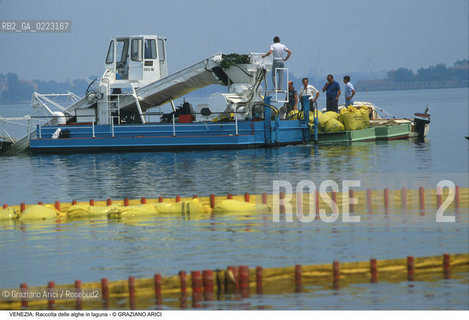Localizzazione:..VENEZIA..Oggetto:..Soggetto:..RACCOLTA DI ALGHE IN LAGUNA / CONSORZIO VENEZIA NUOVA..Cronologia: ..Definizione Culturale:..   Autore: ..   Stile: ..   Editori/Stampatori:..   Committenza:..Materia e Tecnica:..Collocazione:..Note:..PROBLEMI INQUINAMENTO..Riproduzione Fotografica:..Graziano Arici/Rosebud2 .Copyright:..Graziano Arici/Rosebud2 .Data:..1990..Costo:..A..
