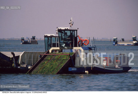 Localizzazione:..VENEZIA..Oggetto:..Soggetto:..RACCOLTA DI ALGHE IN LAGUNA / CONSORZIO VENEZIA NUOVA..Cronologia: ..Definizione Culturale:..   Autore: ..   Stile: ..   Editori/Stampatori:..   Committenza:..Materia e Tecnica:..Collocazione:..Note:..PROBLEMI INQUINAMENTO..Riproduzione Fotografica:..Graziano Arici/Rosebud2 .Copyright:..Graziano Arici/Rosebud2 .Data:..1990..Costo:..A..