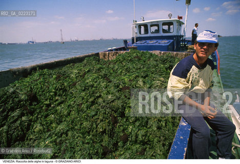 Localizzazione:..VENEZIA..Oggetto:..Soggetto:..RACCOLTA DI ALGHE IN LAGUNA / CONSORZIO VENEZIA NUOVA..Cronologia: ..Definizione Culturale:..   Autore: ..   Stile: ..   Editori/Stampatori:..   Committenza:..Materia e Tecnica:..Collocazione:..Note:..PROBLEMI INQUINAMENTO..Riproduzione Fotografica:..Graziano Arici/Rosebud2 .Copyright:..Graziano Arici/Rosebud2 .Data:..1990..Costo:..A..