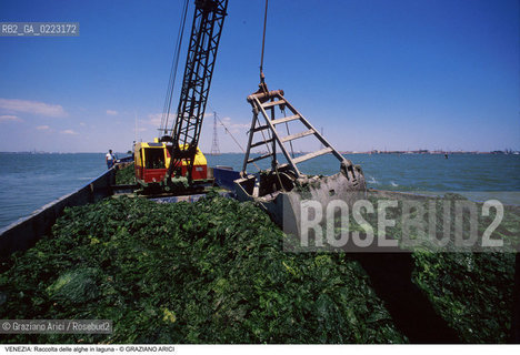 Localizzazione:..VENEZIA..Oggetto:..Soggetto:..RACCOLTA DI ALGHE IN LAGUNA / CONSORZIO VENEZIA NUOVA..Cronologia: ..Definizione Culturale:..   Autore: ..   Stile: ..   Editori/Stampatori:..   Committenza:..Materia e Tecnica:..Collocazione:..Note:..PROBLEMI INQUINAMENTO..Riproduzione Fotografica:..Graziano Arici/Rosebud2 .Copyright:..Graziano Arici/Rosebud2 .Data:..1990..Costo:..A..