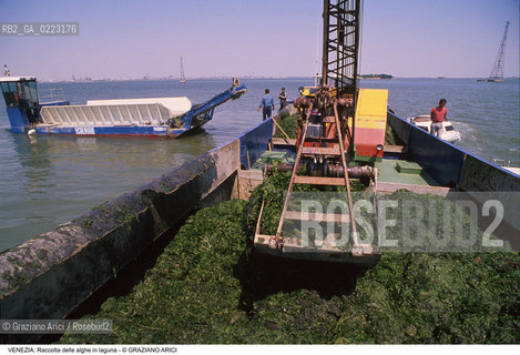 Localizzazione:..VENEZIA..Oggetto:..Soggetto:..RACCOLTA DI ALGHE IN LAGUNA / CONSORZIO VENEZIA NUOVA..Cronologia: ..Definizione Culturale:..   Autore: ..   Stile: ..   Editori/Stampatori:..   Committenza:..Materia e Tecnica:..Collocazione:..Note:..PROBLEMI INQUINAMENTO..Riproduzione Fotografica:..Graziano Arici/Rosebud2 .Copyright:..Graziano Arici/Rosebud2 .Data:..1990..Costo:..A..